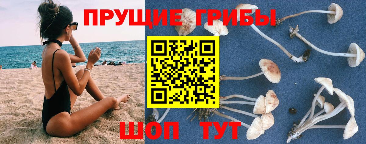 Шахты  Галлюциногенные грибы MAGIC MUSHROOMS  Псилоцибиновые грибы MAGIC MUSHROOMS  Вход с VPN 